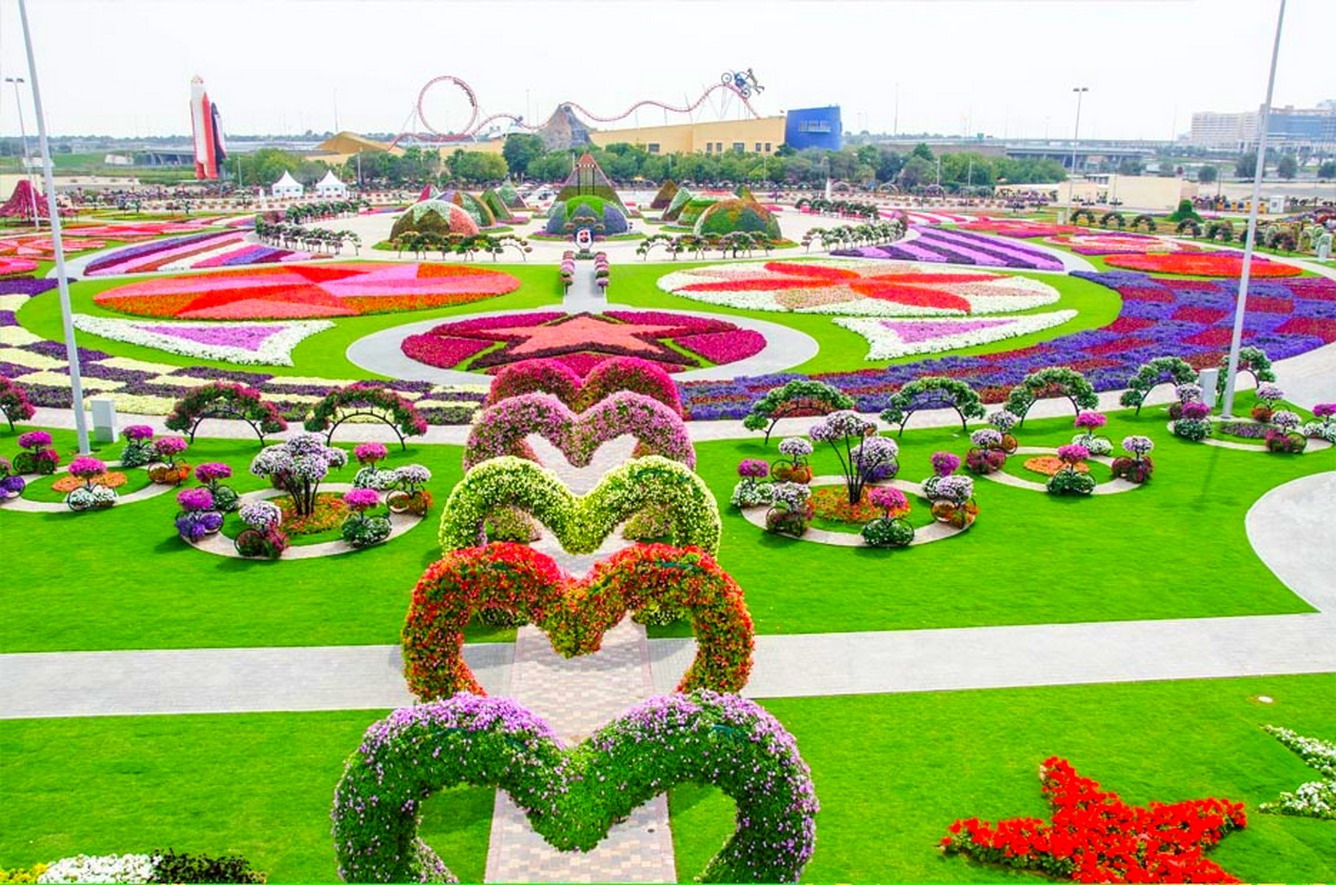 Miracle Garden - Sắc hoa giữa sa mạc Miracle Garden - Sắc hoa giữa sa mạc