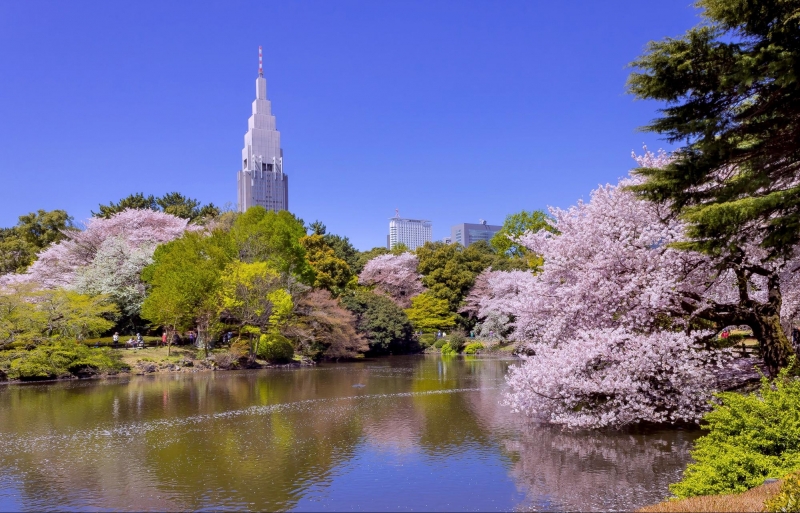 Shinjuku Gyoen Shinjuku Gyoen