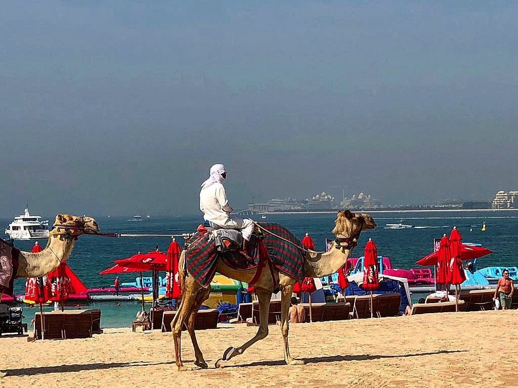 Đến Dubai không chỉ để